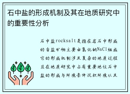 石中盐的形成机制及其在地质研究中的重要性分析